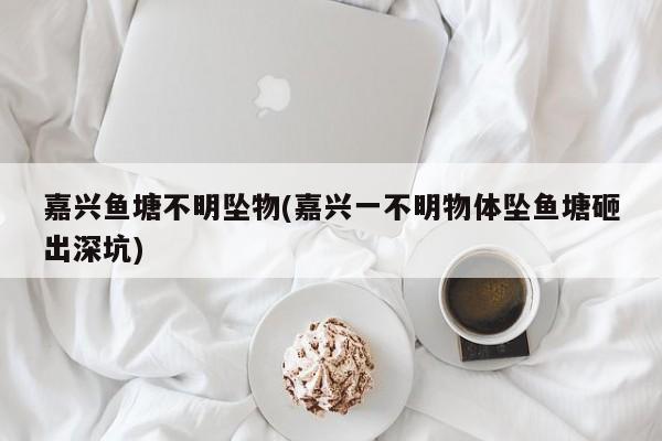 嘉兴鱼塘不明坠物(嘉兴一不明物体坠鱼塘砸出深坑)